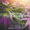265-launch-post7-transformation.png