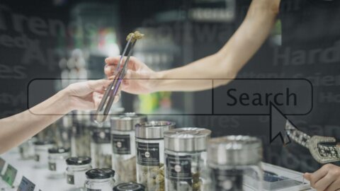 Lot-Aware Search The Feature Cannabis e-commerce Has Been Missing