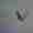 STATIC-post4-butterfly-blank.jpg