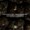IG-post4-fromSeedToSale-static.png