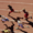 Unlocking-cross-functional-staticBlank-post-5.png