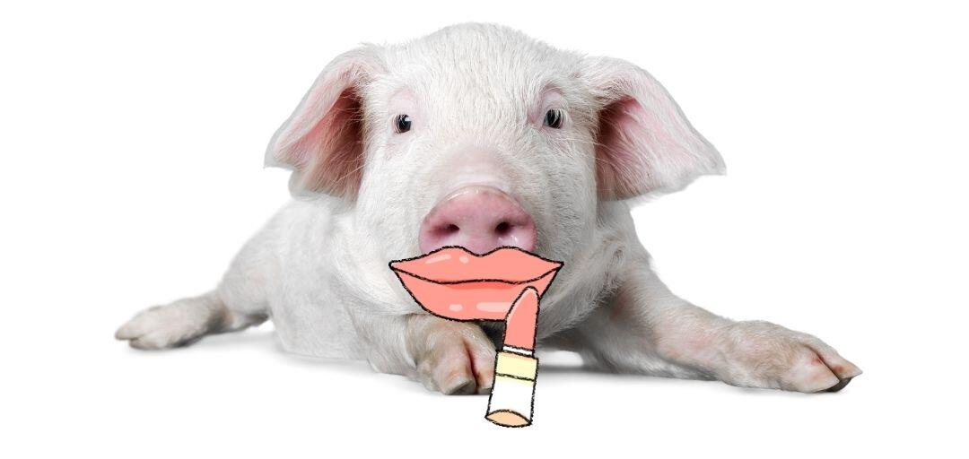 Digital-pig